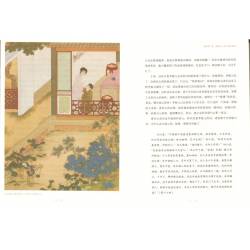 金瓶梅的讀法(全二冊)(簡體字)